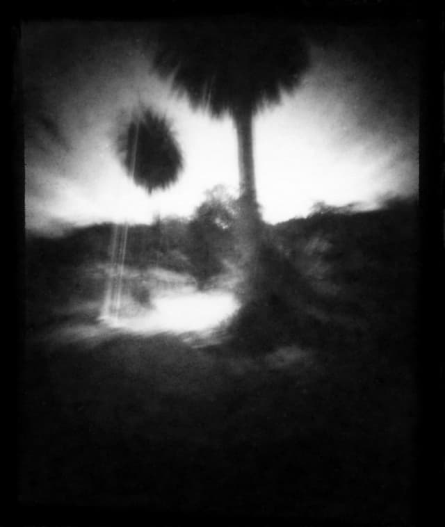 Joanna Tam: There is No Angel on Angel Island