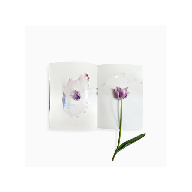 Ephemeral Field Journal