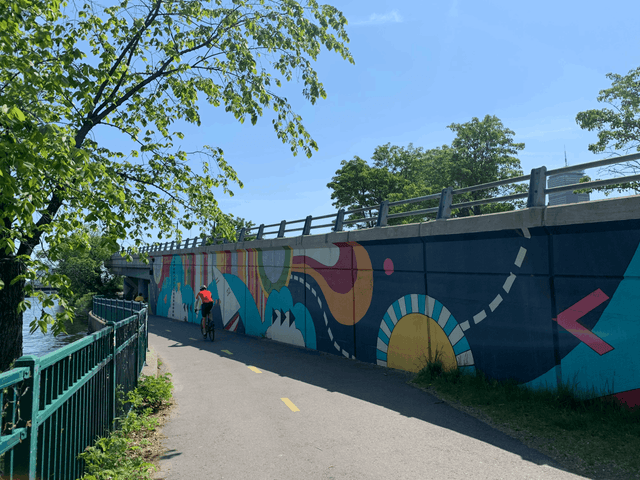 Silvia López Chavez: Patterned Behavior (2017)