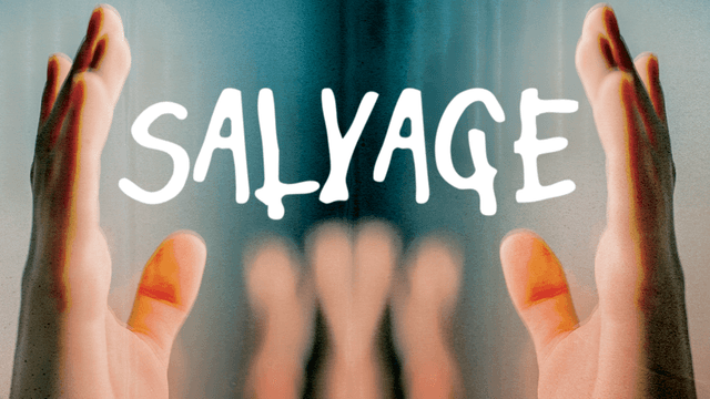 SALVAGE by Alexandria Nunweiler