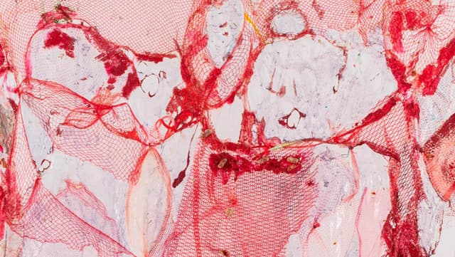 Suzanne Jackson: What Is Love