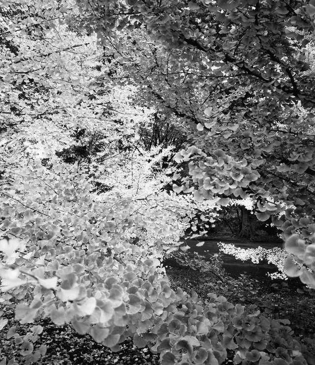 Robert Klein Gallery