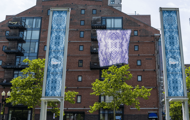 Lani Asunción: SONG/LAND/SEA, WAI Water Warning