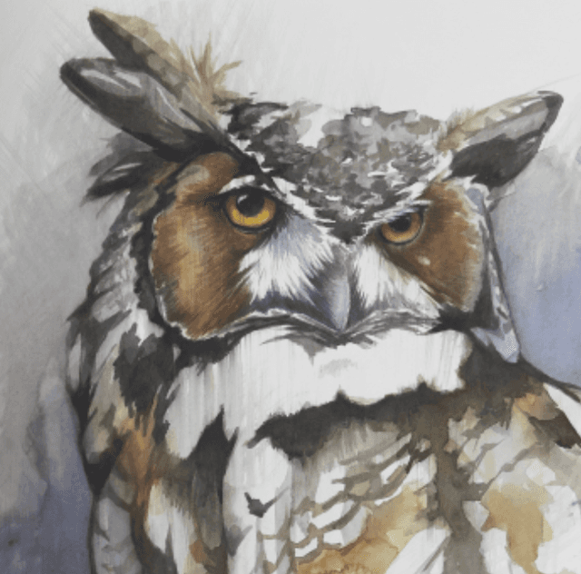Jennifer L. Anderson: Voices of the Wild