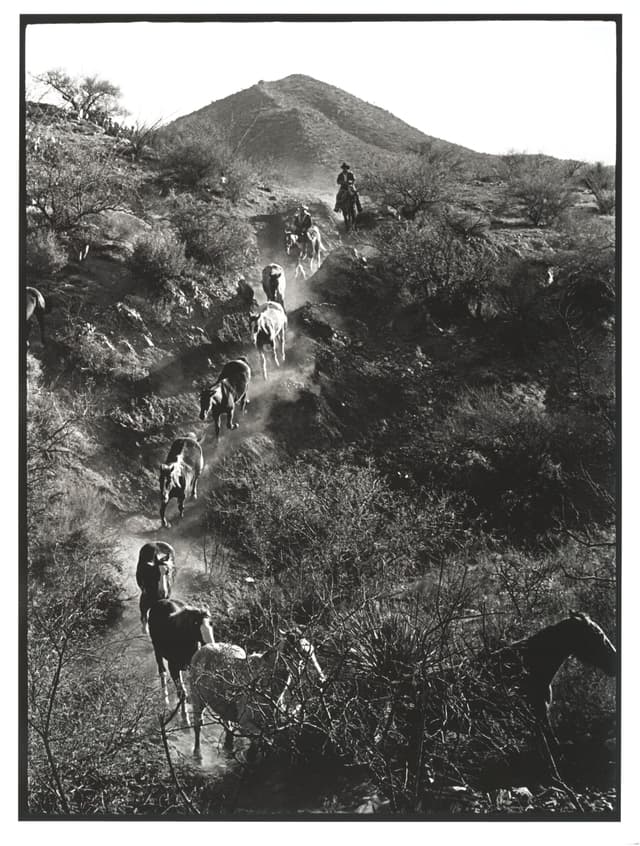 A Singular Journey: Tribute to Tony King