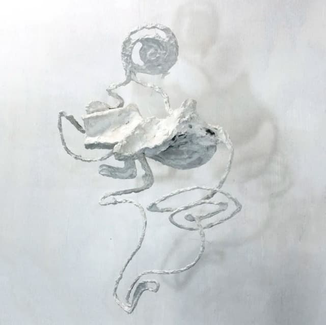 Virginia Mahoney: Fragments (Project Space)