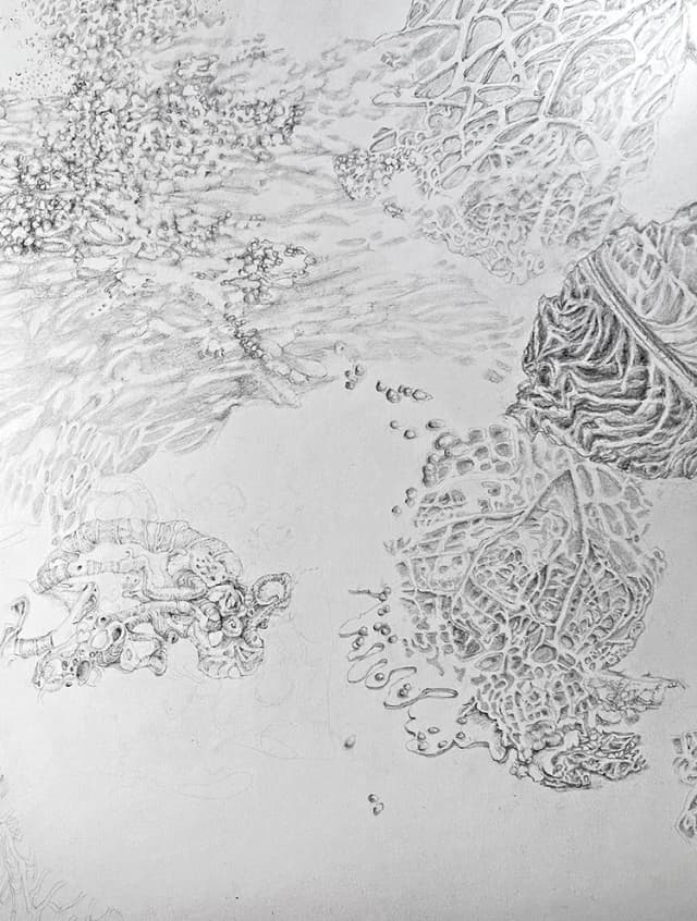 Rhonda Smith: A Line is a Breath (Project Space)