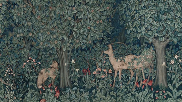 Framing Nature: Gardens and Imagination