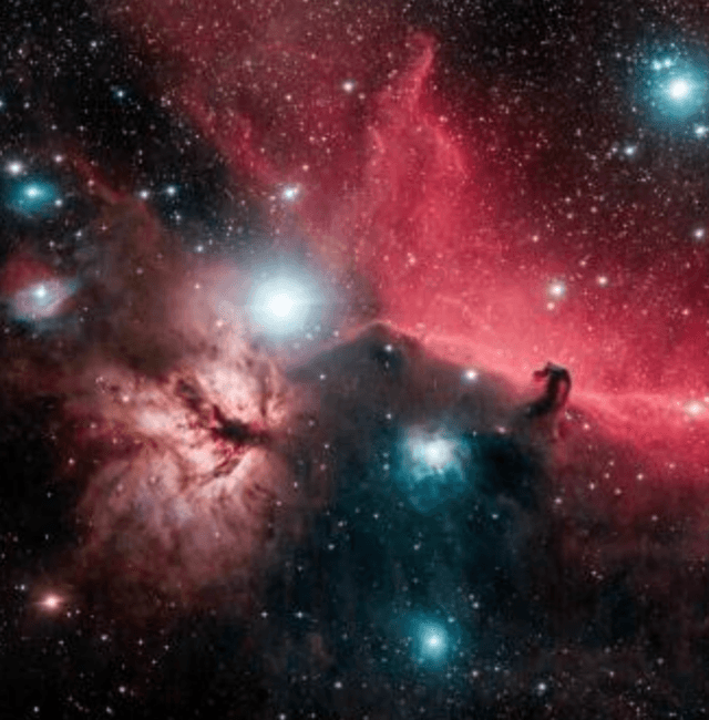 Marsha Wilcox: Ancient Light