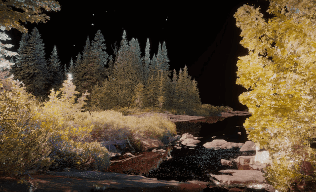 A Sentient Land: Aesthetic Alliances with Forests, Beetles, Salt, and Air