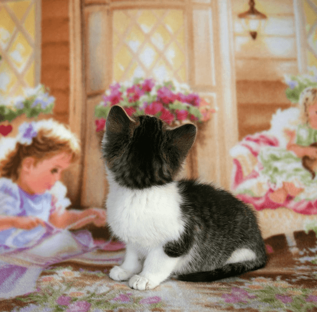 Arne Svenson: Sock Monkeys & Strays