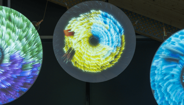 Lighten Up! On Biology and Time