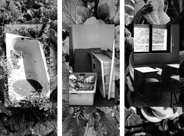 Carmen Sanchez Gomez-Casuso