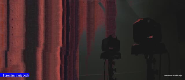I promise, mute body