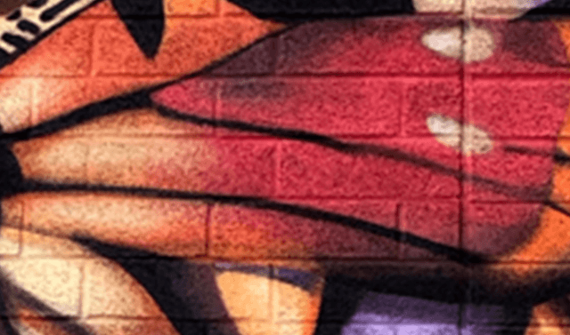 Mattaya Fitts: The Joy of Growing (2022)