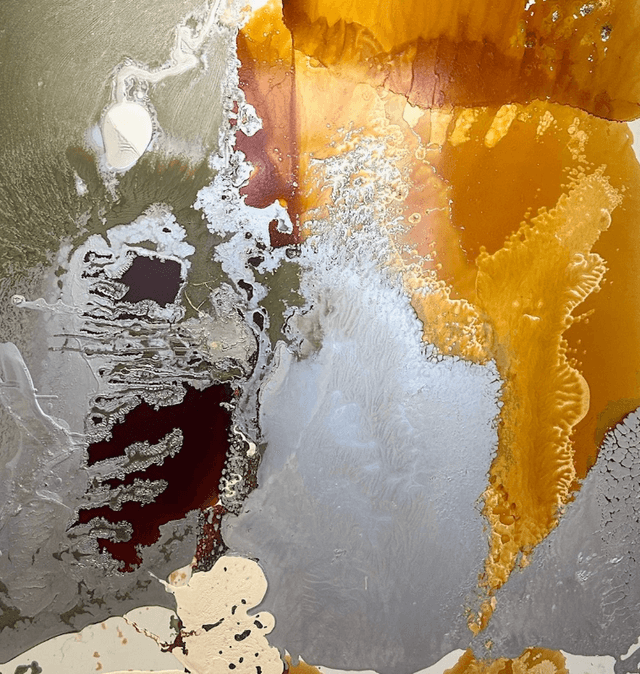 Bernd Haussmann: Nature Naturing