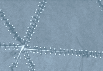 2026 Emerging Artists Exhibit