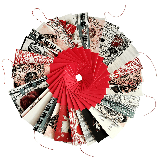 Freedom Project Kolekcja