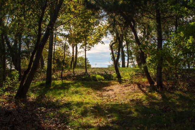 Boston Urban Wilds: Celebrating 50 Years of Conservation and Community