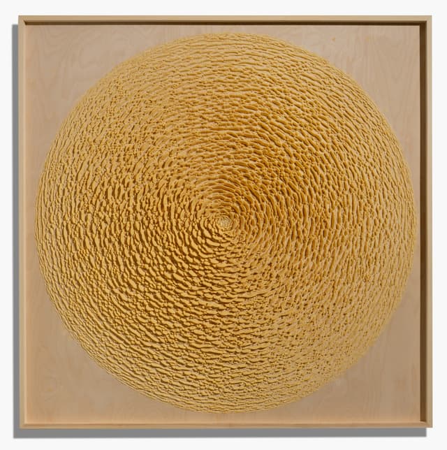 Martin Kline: Fields of Capture